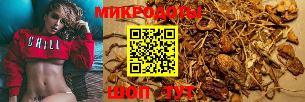 Псилоцибиновые грибы мухоморы Белгород